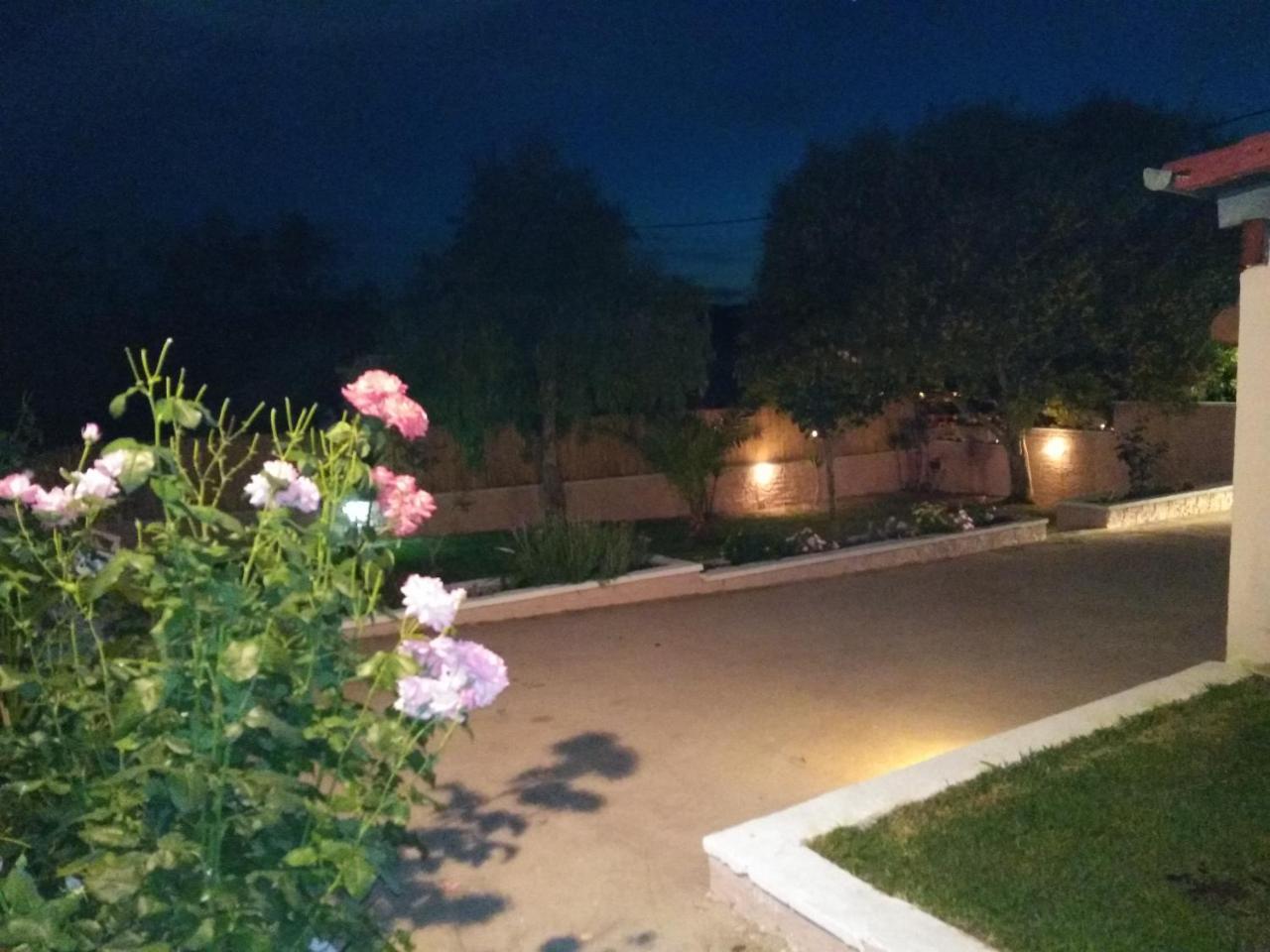 Villa Thanos Маратіас Екстер'єр фото